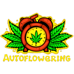 Autoflowering